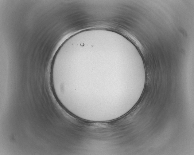 X0000115831483200912111302