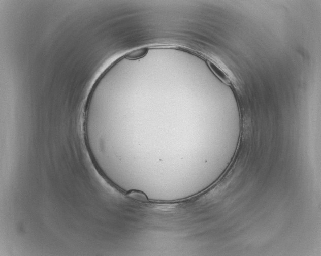 X0000115831484200912111302