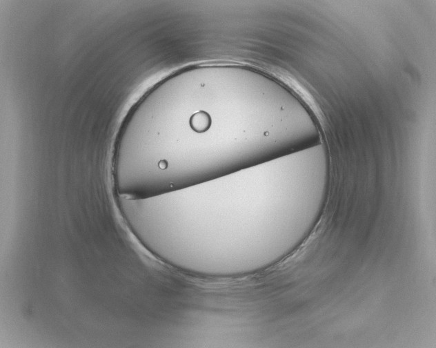 X0000115831485200912111302