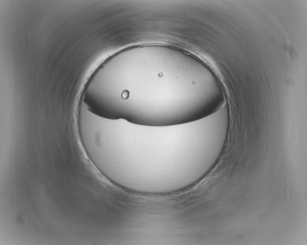 X0000115831488200912111302