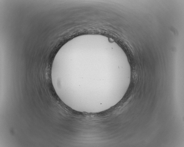 X0000115831490200912111301