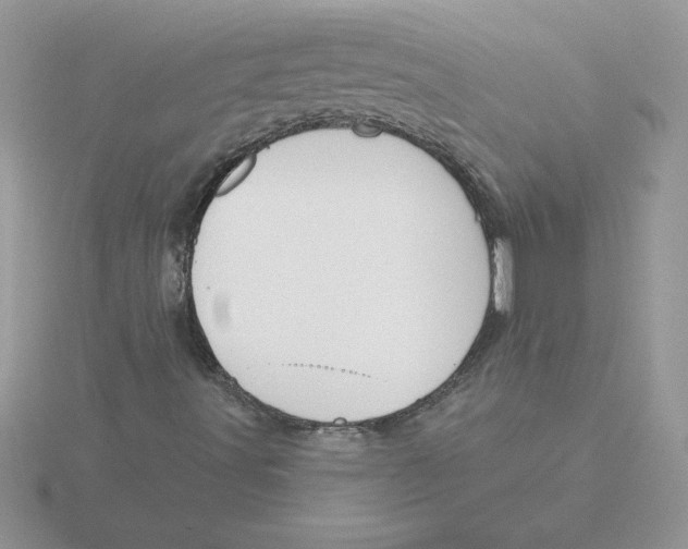 X0000115831491200912111301