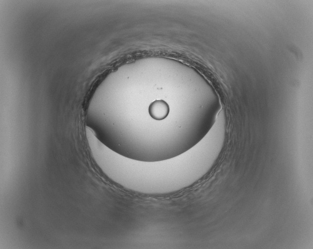 X0000115831493200912111301