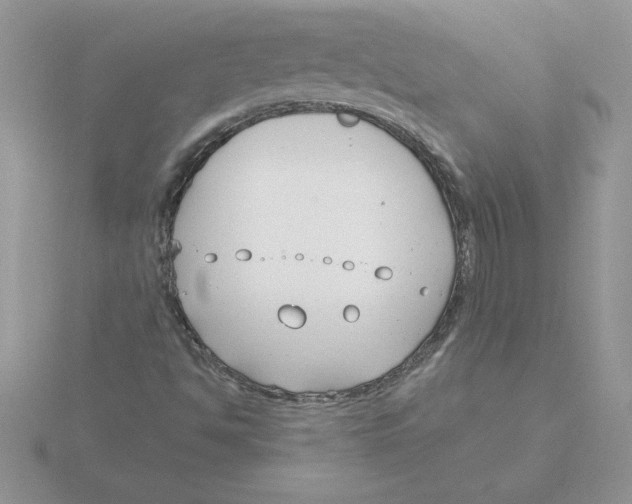 X0000115831494200912111301