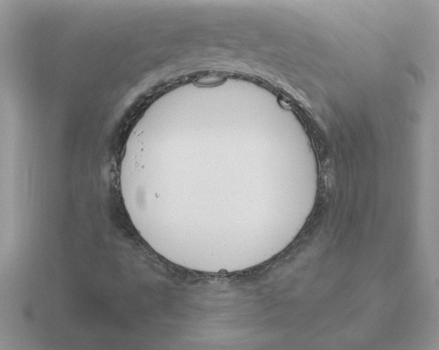 X0000115831495200912111301