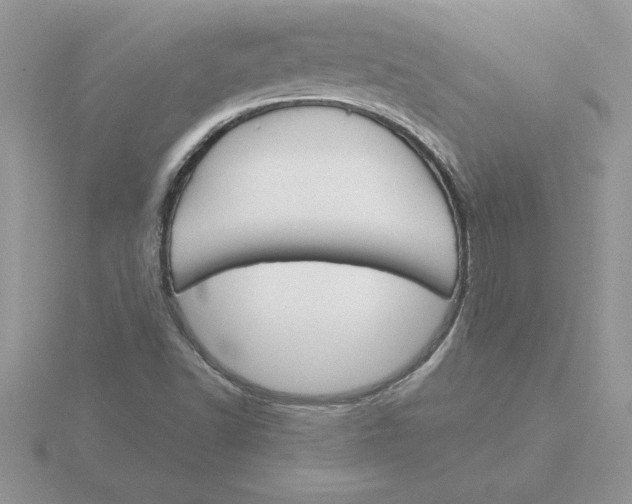 X0000115831502200912111301