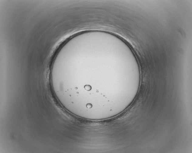 X0000115831507200912111302