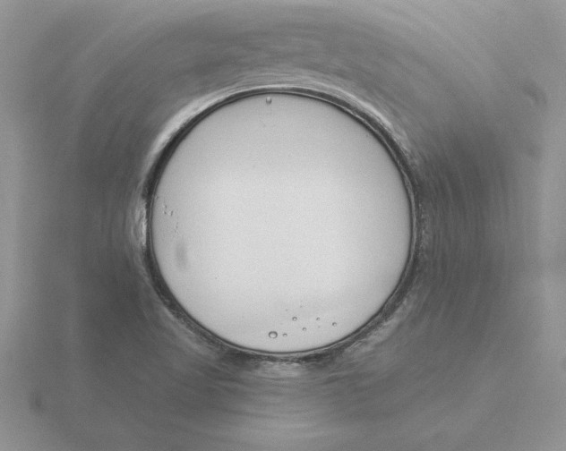 X0000115831509200912111302