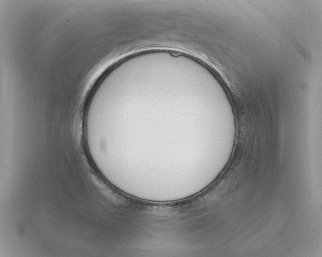 X0000115831511200912111302