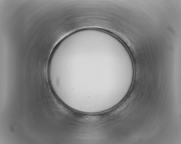 X0000115831513200912111302