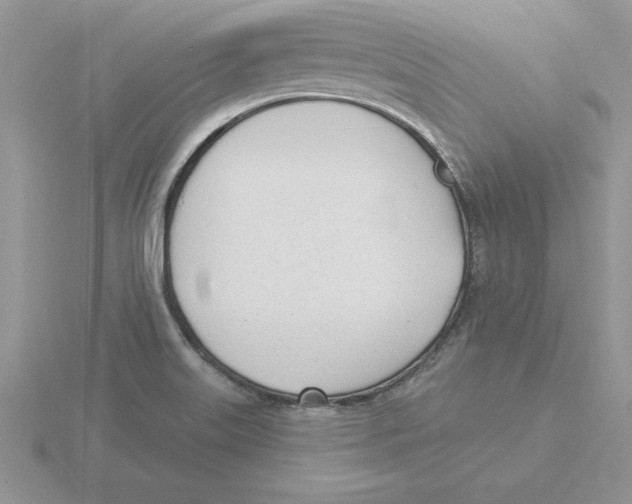 X0000115831515200912111302