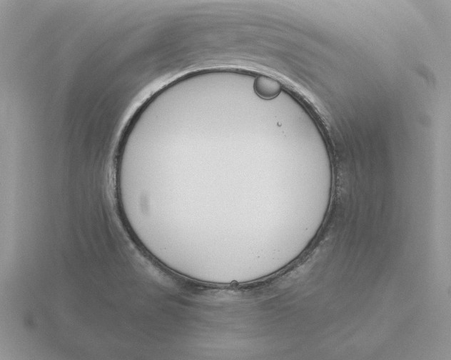 X0000115831517200912111302