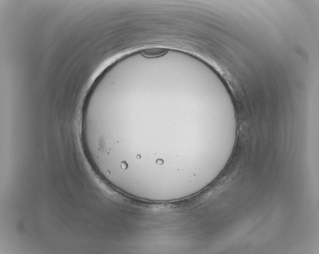 X0000115831523200912111302