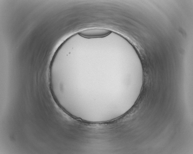 X0000115831527200912111302