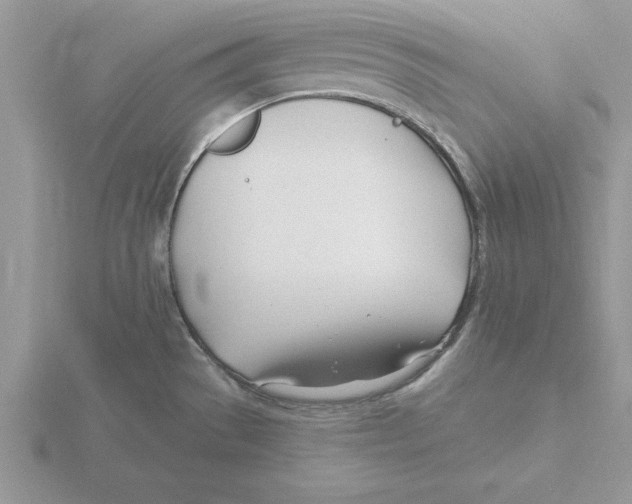 X0000115831529200912111302