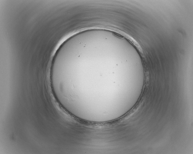 X0000115831530200912111302