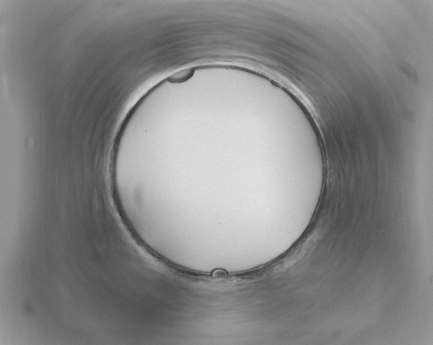 X0000115831533200912111302