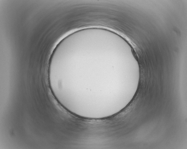 X0000115831534200912111302