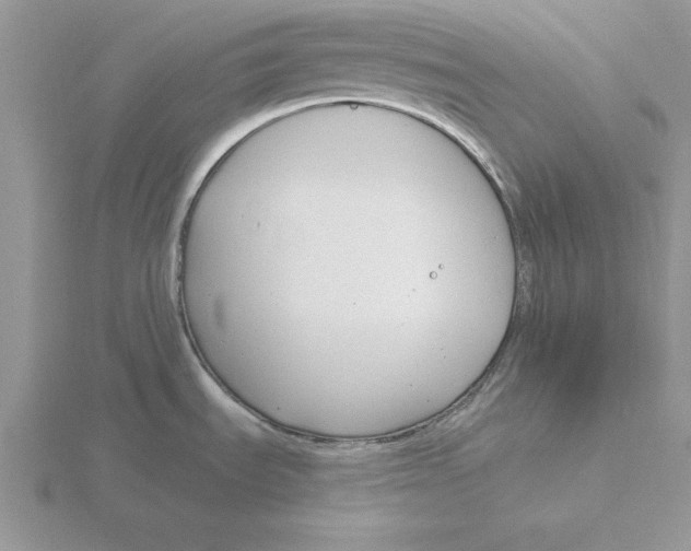 X0000115831535200912111302