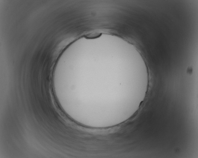 X0000115830001200912242005