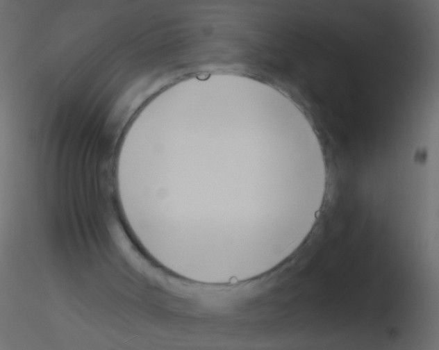 X0000115830002200912242005