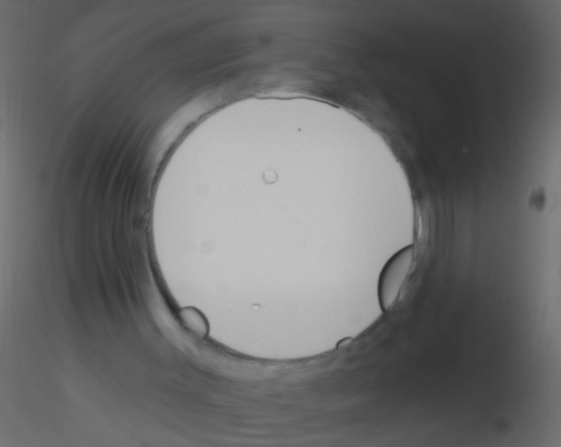 X0000115830003200912242005