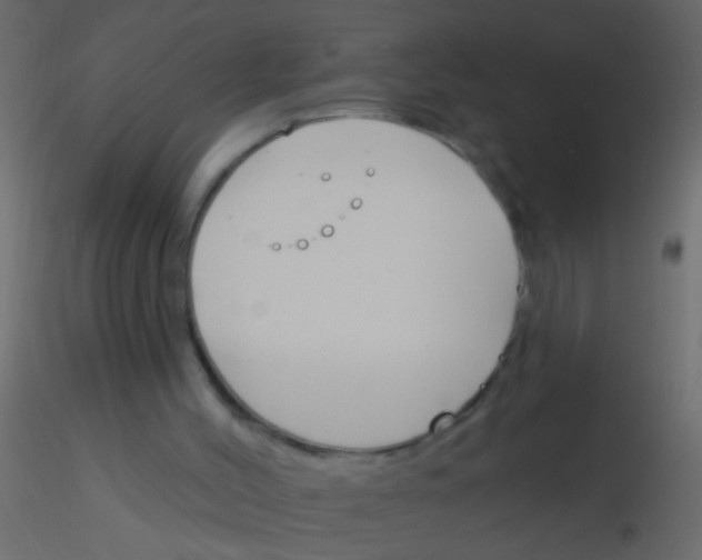 X0000115830004200912242005