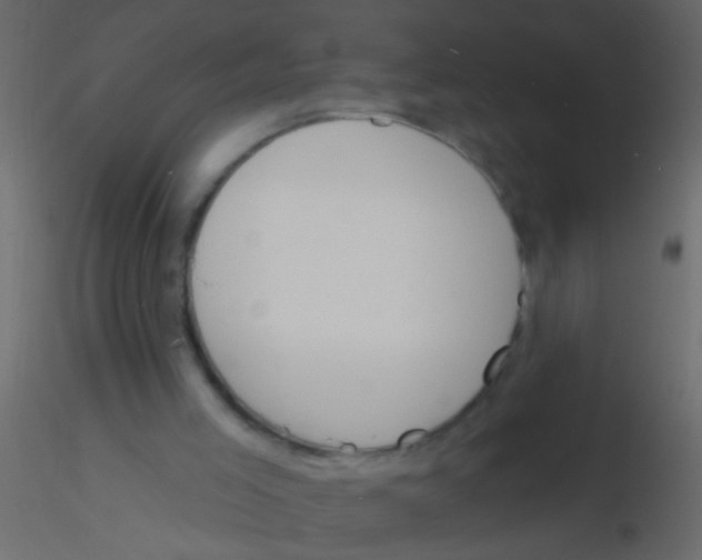 X0000115830005200912242005