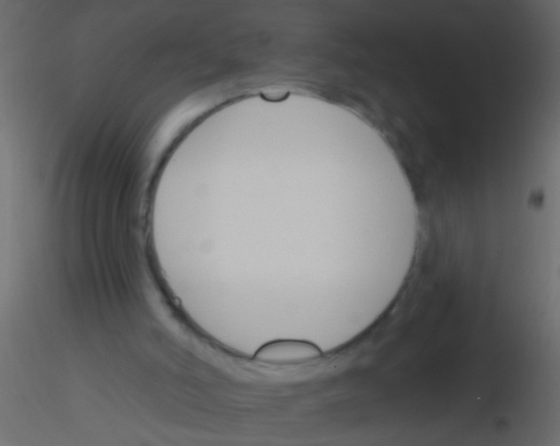 X0000115830006200912242005