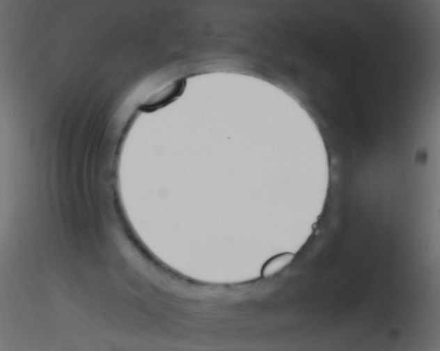 X0000115830007200912242005