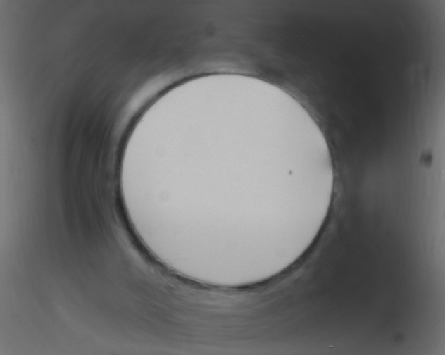 X0000115830008200912242005