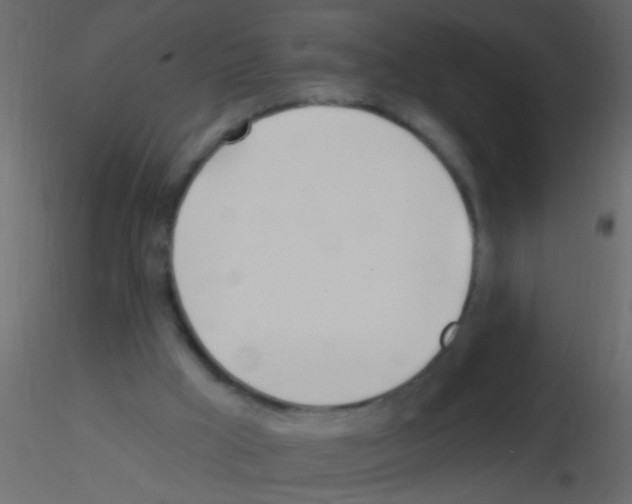 X0000115830009200912242005