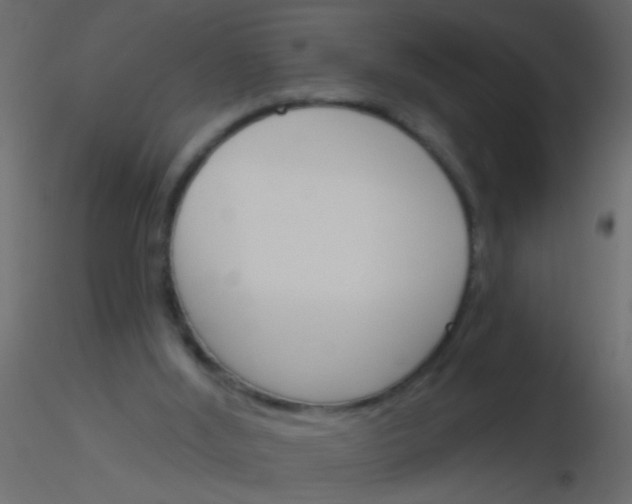 X0000115830012200912242005