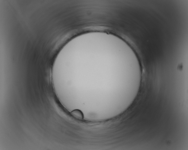 X0000115830013200912242005