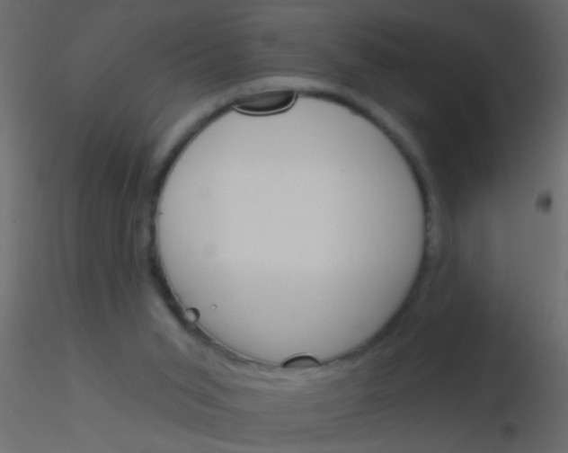 X0000115830015200912242005