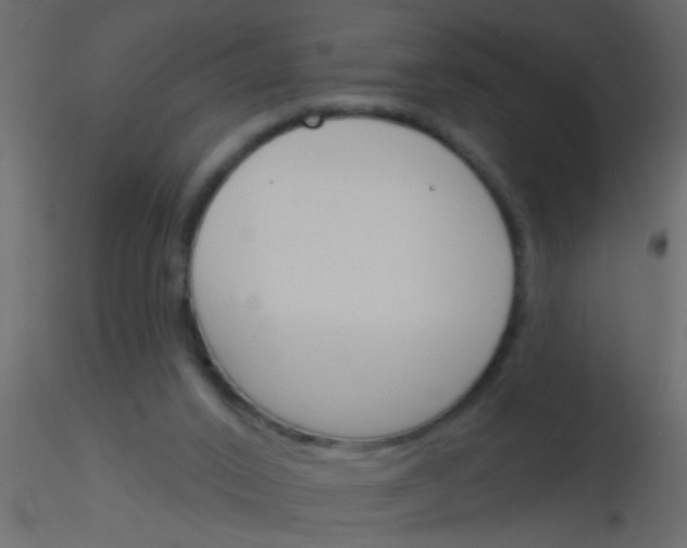 X0000115830016200912242005