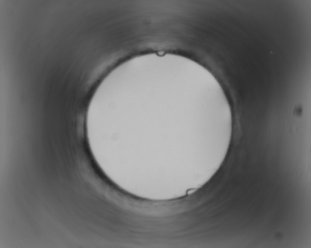 X0000115830019200912242005