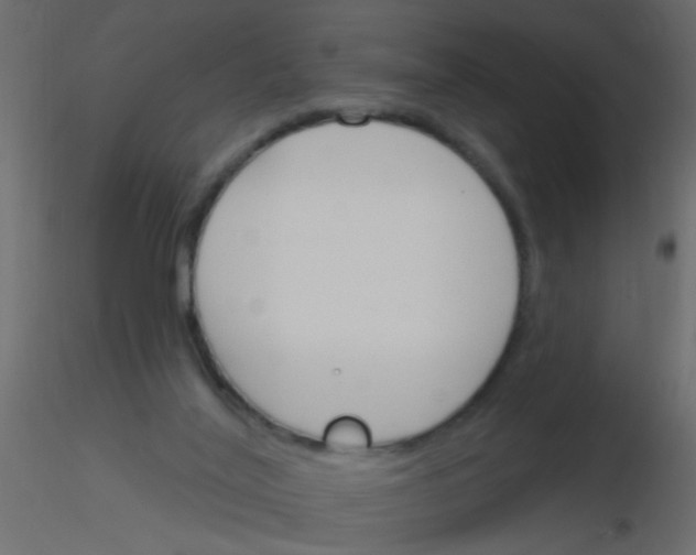 X0000115830020200912242005