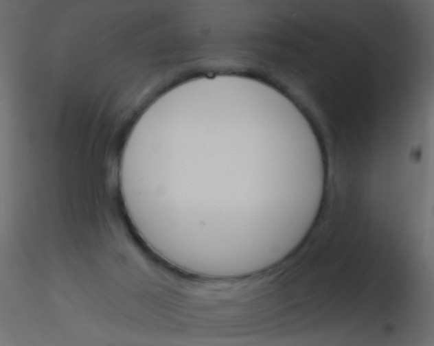 X0000115830021200912242005