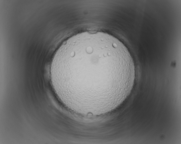 X0000115830022200912242005