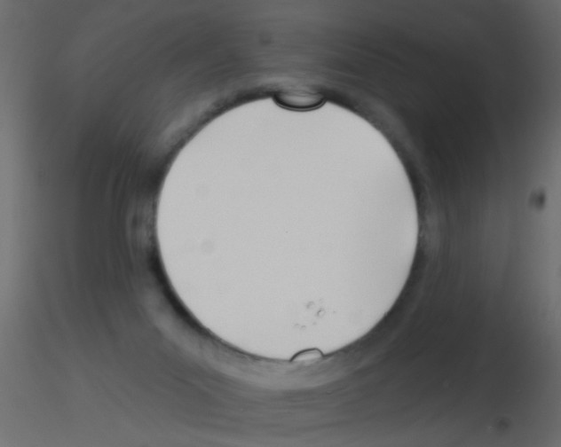 X0000115830023200912242005