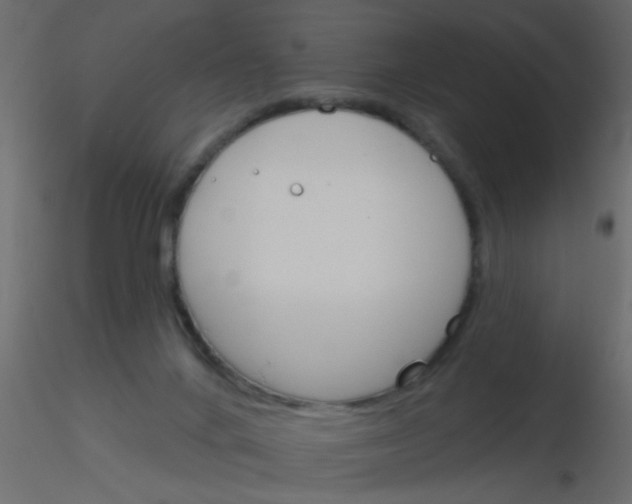 X0000115830024200912242005