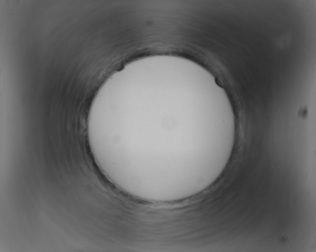 X0000115830025200912242005