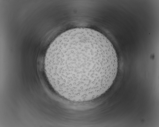 X0000115830026200912242005