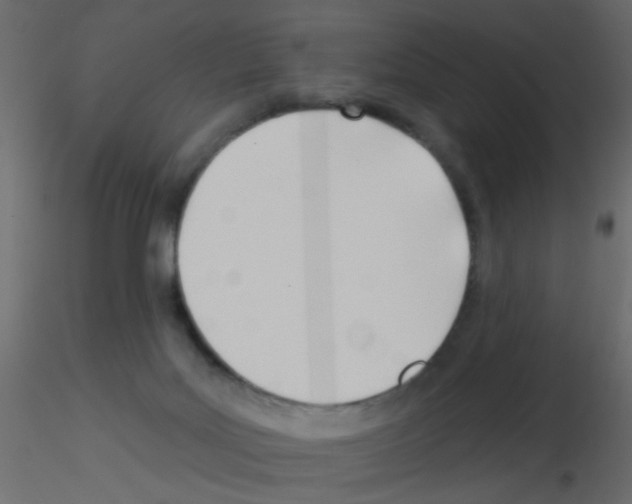 X0000115830027200912242005