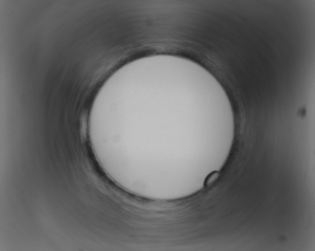 X0000115830028200912242005