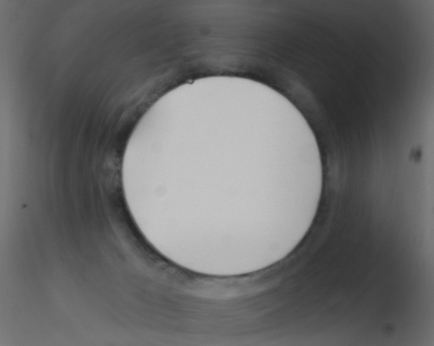 X0000115830029200912242005