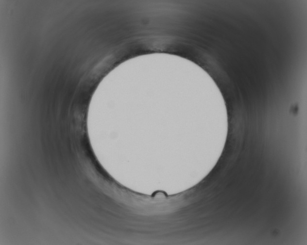 X0000115830031200912242005