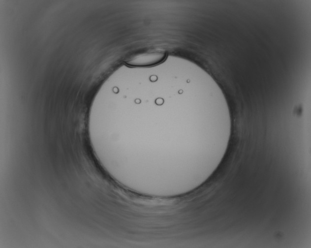 X0000115830032200912242005