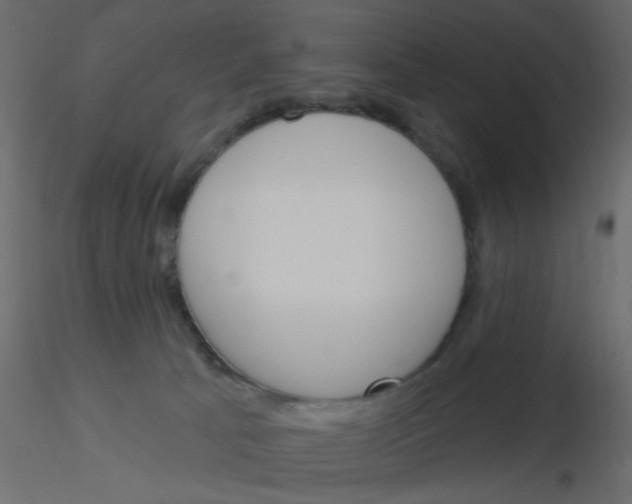 X0000115830033200912242005